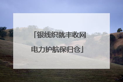 银线织就丰收网 电力护航保归仓